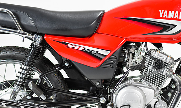 Descripción de la imagen