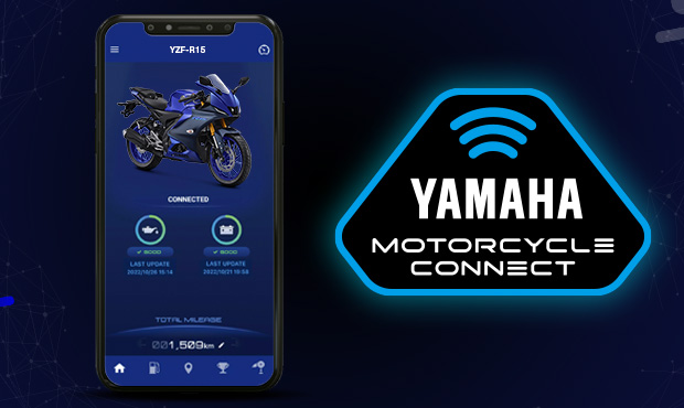 Descripción de la imagen